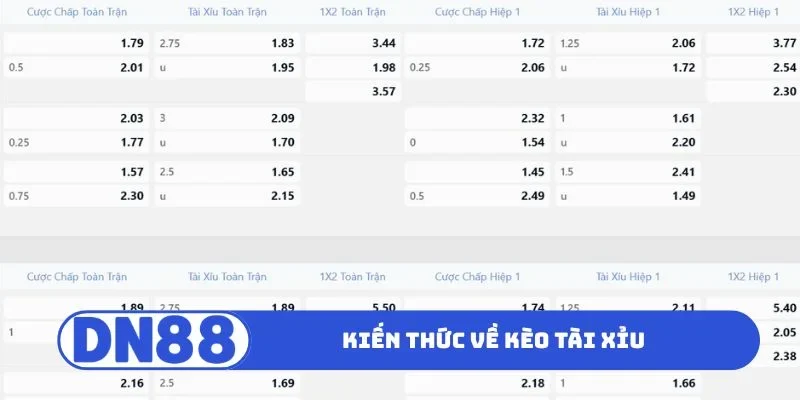 Kiến thức về kèo tài xỉu
