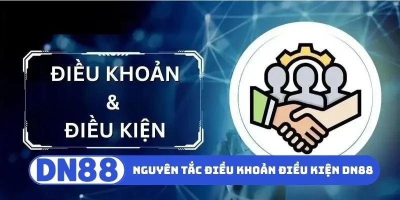 Nguyên tắc trong điều khoản điều kiện DN88